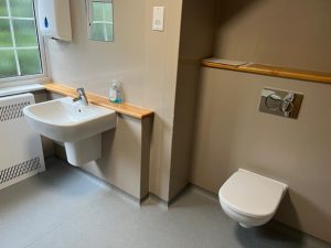 A bathroom with a sink and toilet
